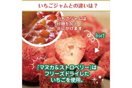 マヌカハニー＆沖縄県産ストロベリー 50g×2個｜はちみつ ハチミツ 蜂蜜 マヌカハニー いちご イチゴ 苺 ストロベリー ビタミン お土産 ギフト プレゼント お祝い 人気 沖縄 沖縄県 豊見城市(