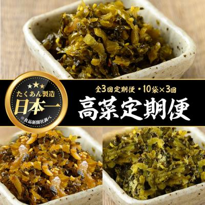 ふるさと納税 曽於市 【3回定期】高菜3種定期便