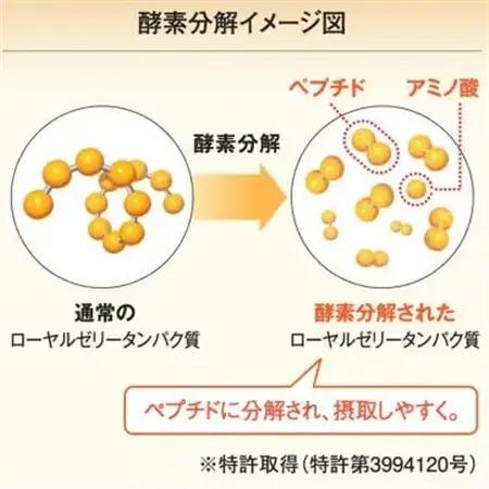 【毎月定期便】酵素分解ローヤルゼリー CoQ10(5935)全12回【4008983】