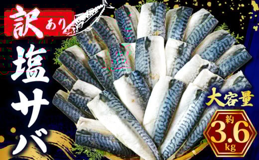 訳あり 塩さば フィレ 約3.6kg 鯖 さば 塩サバ 塩鯖 訳アリ 訳有 規格外 不揃い 切身 切り身 フィーレ 塩焼き 鯖サンド 鯖バーガー 大容量 小分け 人気 冷凍 冷凍食品 魚 魚介 魚貝 魚介類 おかず つまみ 酒 お酒 さけ 弁当 惣菜 食品 冷凍食品 グルメ 贈答 贈物 贈り物 長期保存 ギフト プレゼント ふるさと納税 ふるさと納税鯖 お取り寄せ 送料無料 千葉県 銚子市 辻野
