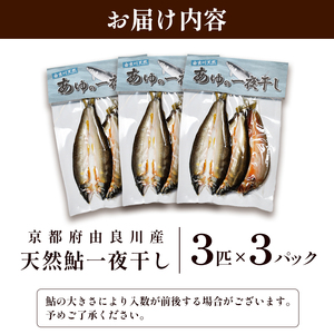 天然鮎 一夜干し 3パック（9匹） 【 あゆ 鮎 アユ 天然鮎 鮎の一夜干し 鮎 】