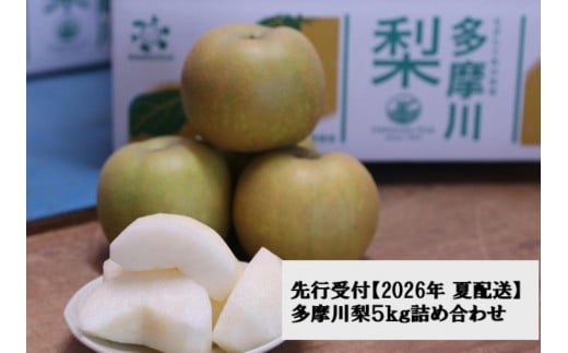 【2026年夏配送】多摩川梨５ｋｇ詰め合わせ