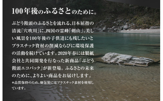 ぶどう饅頭 25本 (5本入り5袋) 《30日以内に出荷予定(土日祝除く)》有限会社日乃出本店 徳島県 阿波 ブドウ 饅頭 飴 ミルク 自家製あん 老舗 和菓子 剣山 穴吹川 贈り物 衛生的 個包装 