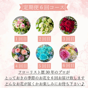 季節の 花 フラワーアレンジメント 定期便 6回 花