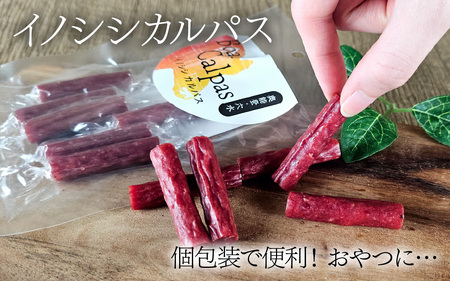 奥能登 穴水産 イノシシカルパス・ジャーキーセット｜奥能登 能登半島 石川県 カルパス ジャーキー ふるさと 猪 いのしし ジビエ 肉 猪肉 お肉 おやつ おつまみ 詰め合わせ