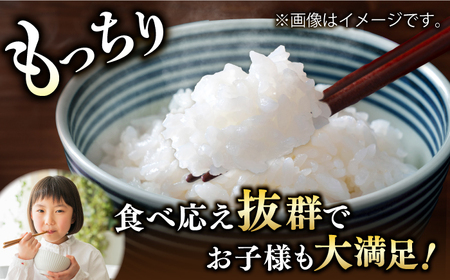 令和5年産夢しずく 白米 計6kg（2kg×3袋） / お米 精米 ブランド米 ふるさと納税米 /  佐賀県 / 株式会社森光商店[41ACBW011]