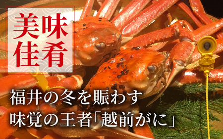 【先行予約】【訳あり】 越前がに 中 (約550g～700g)×2杯【11月～12月発送】
