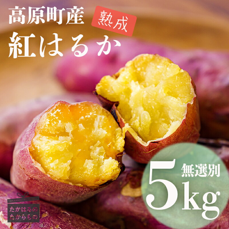 【ふるさと納税】[先行受付] 南九州の名産品「熟成紅はるか」5kg(無選別)高原町産のさつまいも 新物 長期熟成 糖度 甘味 旨味 ホクホク 焼き芋 ふかし芋 天ぷら 煮物 オンラインワンストップ 故郷納税 10000円 1万円 訳アリ 薩摩芋 べにはるか からいも 宮崎県産