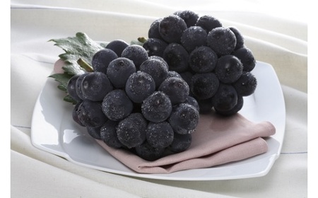 岡山県産ピオーネ2房（約1.2kg）【2024年8月下旬～9月中旬発送予定】（いばら愛菜館）