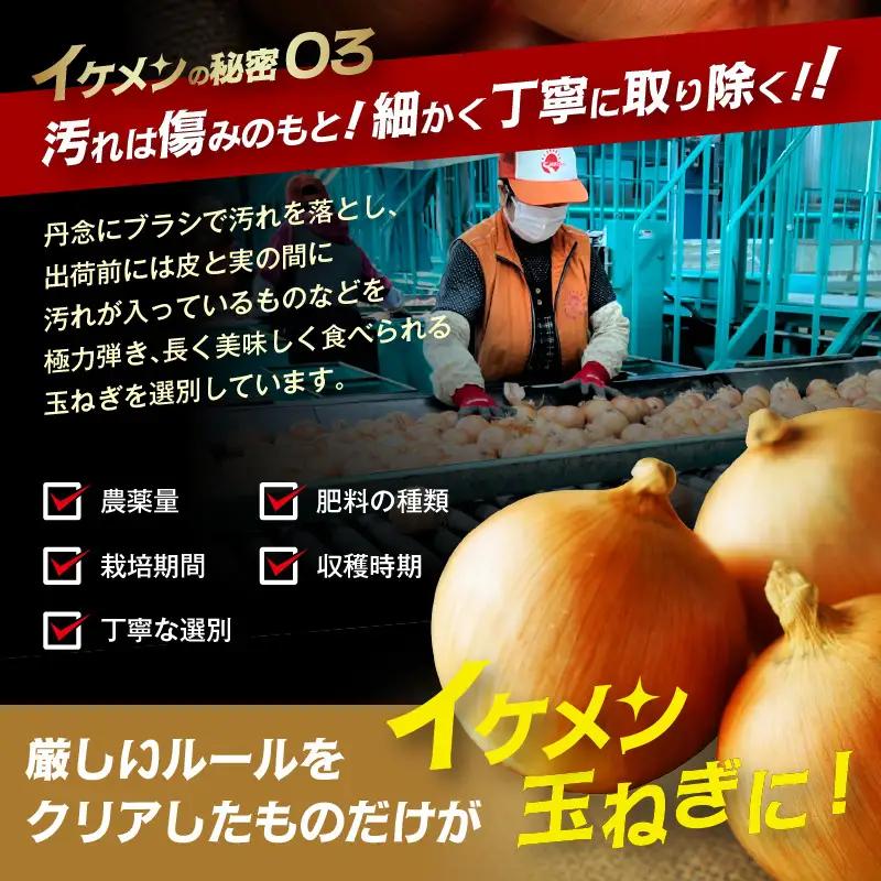  【予約：2026年9月上旬から順次発送】JAきたみらい産 玉ねぎ Lサイズ 10kg ( タマネギ たまねぎ 野菜 )【210-0003-2026】