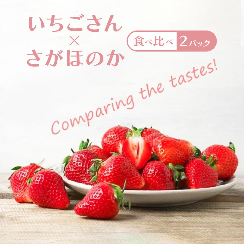 【ふるさと納税】いちご 食べ比べ 2パック（いちごさん・さがほのか） 苺 イチゴ 果物 フルーツ デザート ※配送不可:離島　お届け：2026年1月上旬～3月末まで