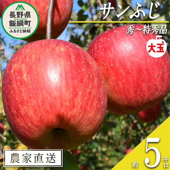 【ふるさと納税】 りんご サンふじ 秀 〜 特秀 ( 大玉 ) 5kg 渡辺農園 沖縄県への配送不可 令和7年度収穫分 エコファーマー認定 減農薬栽培 長野県 飯綱町 〔 信州 果物 フルーツ リンゴ 林檎 長野 17000円 予約 農家直送 〕発送時期：2025年12月上旬〜2026年1月中旬 {***}