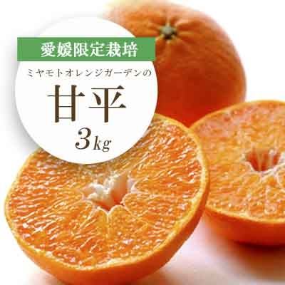 
                  愛媛限定栽培柑橘 甘平(かんぺい)3kg＜F25-8＞_かんぺい 甘平 柑橘 フルーツ 果物 くだもの みかん 人気 おすすめ 送料無料 愛媛県 八幡浜 濃厚 甘い【1268366】 YWTAP004
                