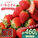 【ふるさと納税】【先行予約】こだわり いちごさん 約230g×2パック【高主いちご園】苺 イチゴ 佐賀県産 フルーツ 果物[ICI002]