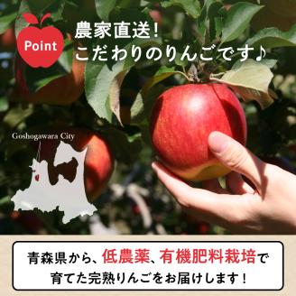 【2025年11月下旬発送】りんご青森産約5kg津軽から完熟サンふじ＆色々ミックス贈答用