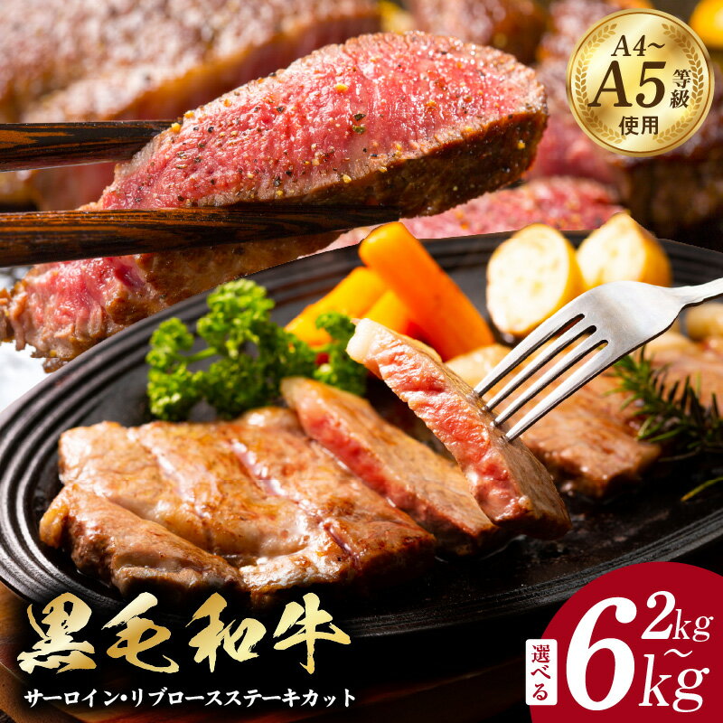 【ふるさと納税】A5/A4等級 黒毛和牛 サーロイン / リブロース ステーキ カット 極味付け肉 国産 1パック 250g 選べる 2kg 8P / 4kg 16P / 6kg 24P 牛肉 サーロインステーキ リブロースステーキ ステーキ 冷凍 すぐ届く 大阪府 泉佐野市 送料無料 肉の泉佐野