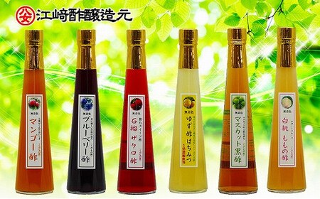＜江﨑酢醸造元＞果実酢6本セット 各300ml　042-020