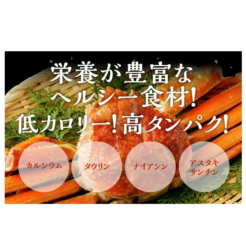 かに鍋 厳選3点セット 合計1kg（3-4人前）蟹づくし G1827