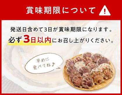 【予約：2024年3月下旬から順次発送】オホーツク貝付きほたて 3kg(15枚～25枚)( 魚介 貝 ホタテ 帆立 殻付き 貝柱 贈答 ギフト 贈り物 BBQ )【031-0003-2024】