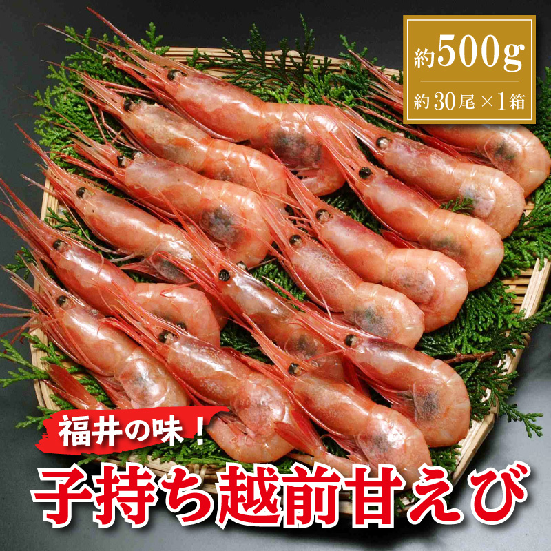 福井の味！子持ち越前甘えび！船内凍結 約500g 冷凍 甘海老 [011-a003]【敦賀市ふるさと納税】