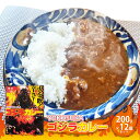 【ふるさと納税】YOKOSUKAゴジラカレー 200g×12個セット 辛口 激辛 カレー スパイシー ゴジラ レトルト 備蓄 長期保存 お取り寄せ 贈答 プレゼント ギフト お土産　【 惣菜 レトルトカレー 】