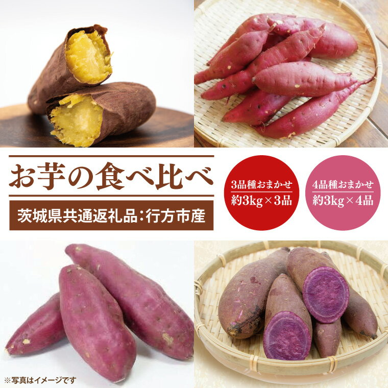 【ふるさと納税】【先行予約】【選べる】お芋の食べ比べ （品種はおまかせ）さつまいも 3品種×約3kg 計9kg　または　4品種×約3kg 計12kg（茨城県共通返礼品：行方市産）※2025年10月上旬～2026年3月下旬頃に順次発送予定（CD088）