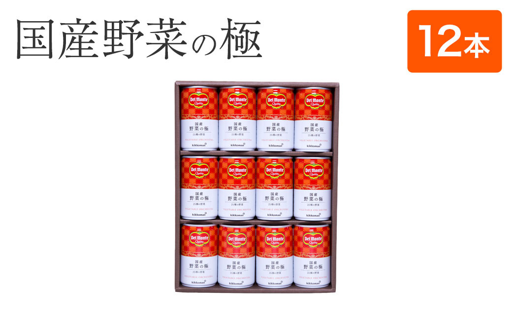 
デルモンテ ベジタブル 野菜の極 ギフト（12本セット）国産 野菜ジュース
