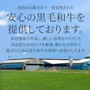 【ふるなびWEEK対象】阿波牛 牛すじ 2kg（500g×4）国産 黒毛和牛 牛すじ