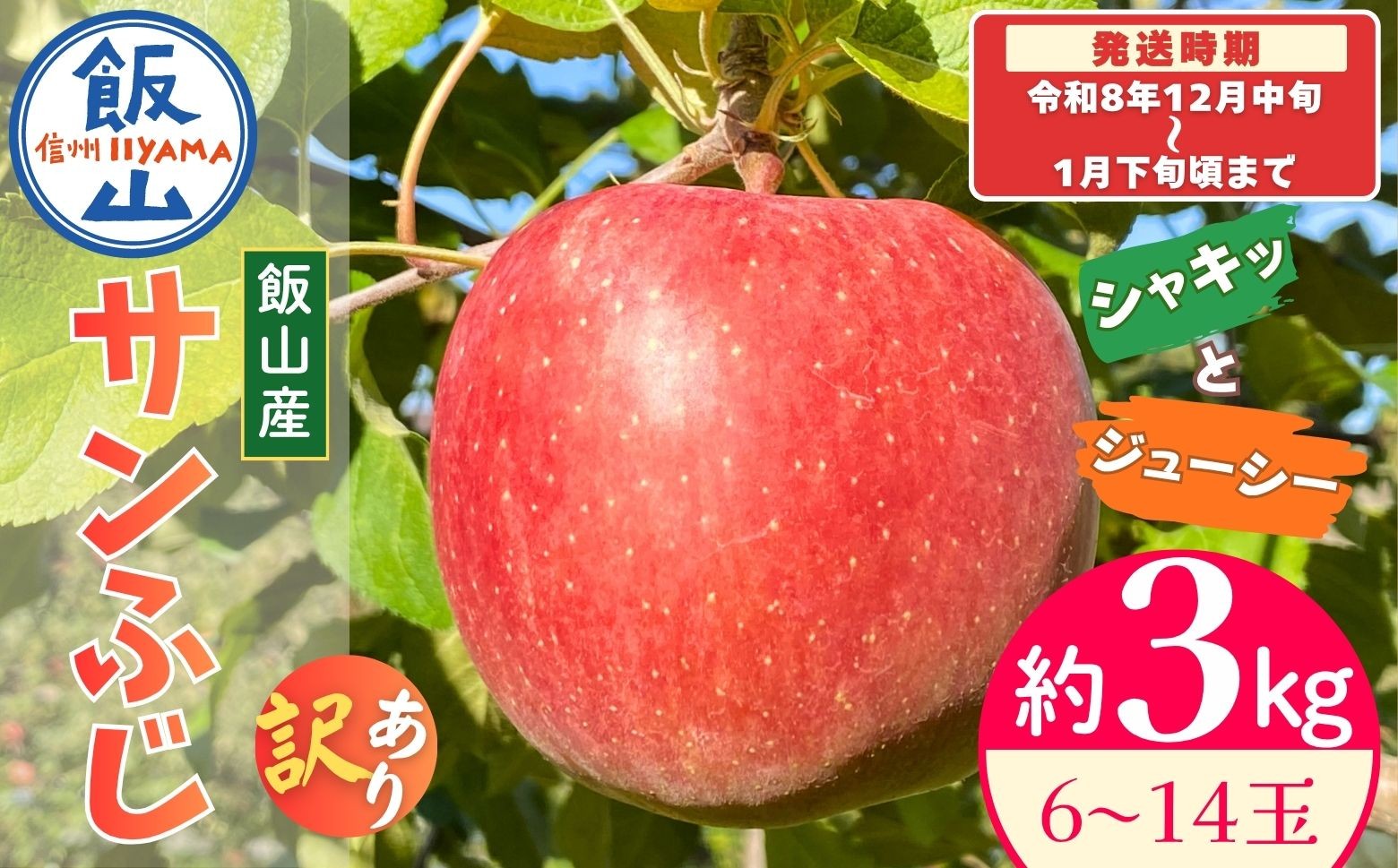 
                  【先行予約│2026年12月中旬より順次発送】訳あり サンふじ 【約3kg(6〜14玉)】│長野県 飯山市 おすすめ ランキング 大好評 先取りりんご リンゴ 林檎 サンふじ 訳あり 規格外 直送 おすすめ(At-035)
                
