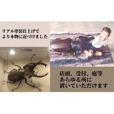 ふるさと納税 三宅町 ミヤマクワガタ大型リアル模型(透明ケース付) |  | 01