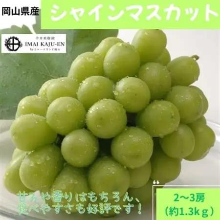 【2026年発送】岡山県産シャインマスカット　約1.3kg・2～3房(クール便)【配送不可地域：離島】【1614355】