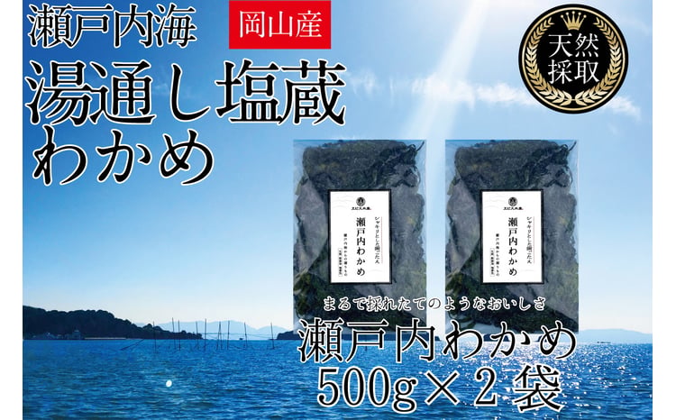 湯通し塩蔵 瀬戸内 わかめ 500g×2袋【岡山 瀬戸内海 天然 塩蔵】