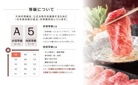 【鹿児島県産】A5等級 黒毛和牛 ローススライス 800g 牛肉 和牛 霜降り ロース しゃぶしゃぶ すき焼き スライス 薄切り 小分け 肉 お肉 国産 冷凍 カミチク 南さつま市