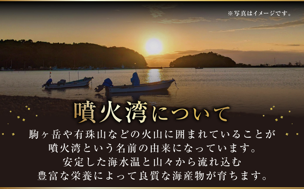 【訳あり】いくら 醤油漬け 新鮮 鮭卵使用 手作り 180g×3瓶 北海道 豊浦 噴火湾 優しい醤油とみりんの味 