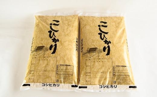 《 新米先行予約 》 こしひかり 京丹波町産 10kg 令和6年産米 精米 お米 京都 丹波 コシヒカリ 特A獲得 農家直送 ※北海道・沖縄・その他離島は配送不可 [015OK001]