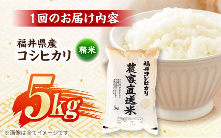 【定期便2回】 【先行予約/9月以降発送】　【令和7年産】 福井県産こしひかり 精米 5kg 小浜市 / シマダ農園[BFAV009]