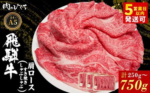 
                   選べる！ 飛騨牛 肩ロース スライス 250g～750g A5 A4 A5等級 A4等級 すき焼き しゃぶしゃぶ 国産 牛 冷凍 和牛 牛肉 カタロース かた ロース 肩ロース 豪華 ギフト 贈答 にく お肉 肉 東白川村 岐阜 飛騨 贅沢 霜降り 赤身 肉のひぐち
                