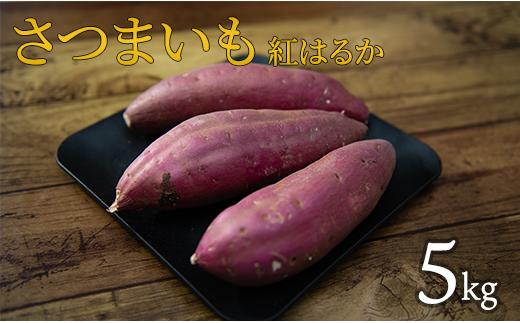 【12月～3月発送】さつまいも（紅はるか）S～Mサイズ　5kg