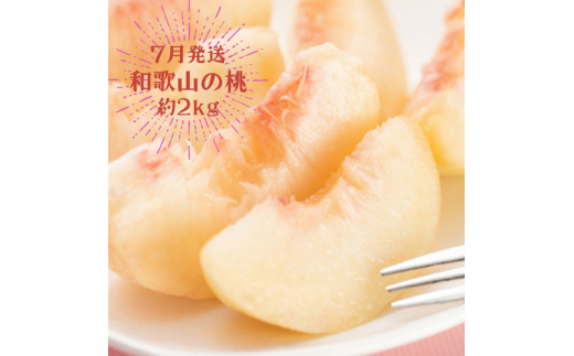 【3か月定期便】夏のいいとこどりフルーツ定期便♪桃・ピオーネ・シャインマスカット / 果物 フルーツ くだもの フルーツ定期便 定期便 くだもの定期便 もも モモ 桃 葡萄 ぶどう マスカット【tkb