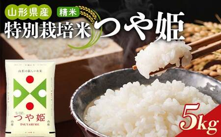 【令和7年産】山形県産 特別栽培米つや姫 精米5kg F2Y-4582