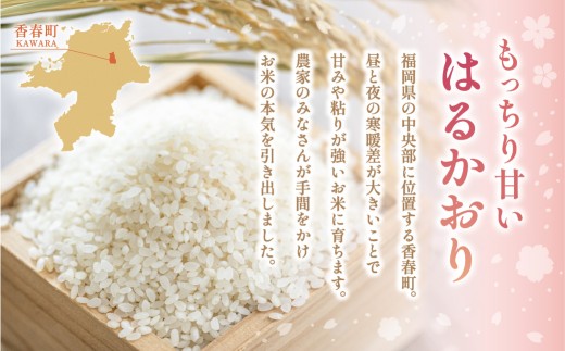 【2ヶ月毎3回定期便】 はるかおり5kg 計15kg ／ 米 コメ お米 ライス ご飯 ごはん 飯 食品 精米 定期便 常温 福岡県 香春町