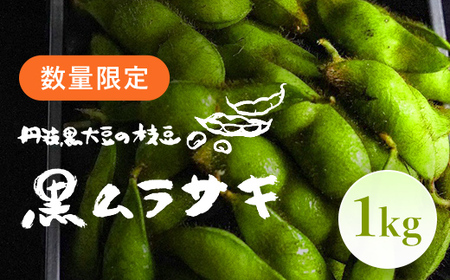 【先行予約／2025年10月発送】丹波黒大豆の枝豆「黒ムラサキ」1㎏ / 枝豆 枝豆 枝豆 枝豆
