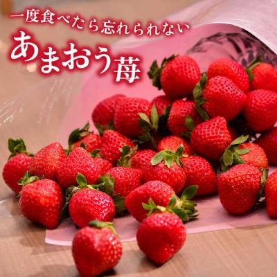 ふるさと納税 糸島市 【全2回定期便】糸島産【冬】あまおう2パック 毎月計500g /南国フルーツ株式会社[AIK025] |  | 01