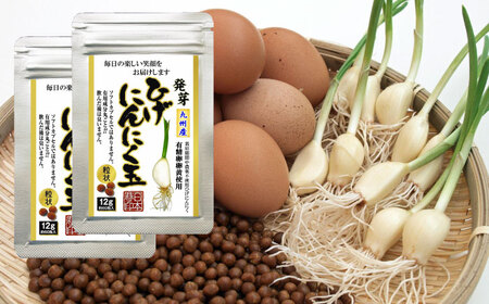 ひげにんにく玉 2袋（1袋60粒入） / 佐賀県 / 日本にんにく [41AAAO002]