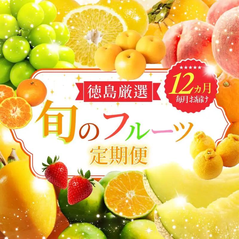 フルーツ定期便 12ヶ月 定期
