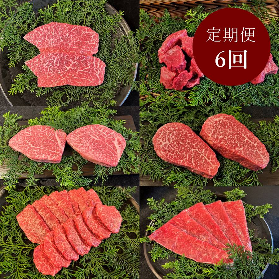 ＜古里精肉店＞「飛騨牛」A5等級『ヒレ・シャトーブリアン』&赤身【6ヵ月定期便】