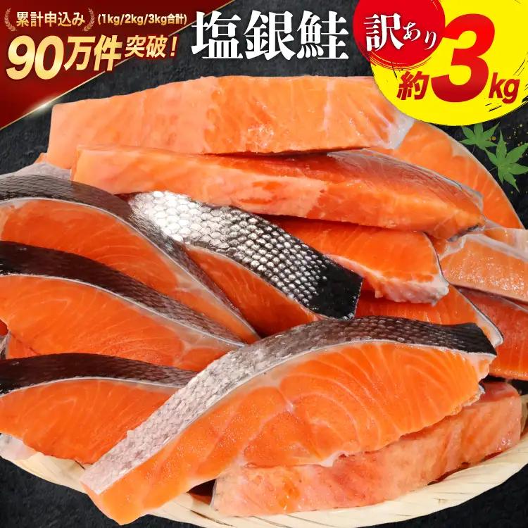 訳あり 銀鮭切身 約3kg  サケ しゃけ 魚 鮭 サーモン