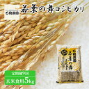 【ふるさと納税】米 若葉の舞 コシヒカリ 玄米食用5kg 定期便9回 こしひかり お米 玄米 定期便 千葉 千葉県 低温保存　定期便