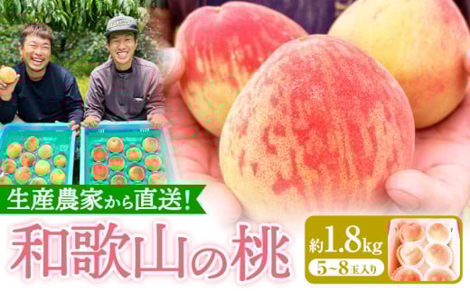 桃 和歌山県産の桃 約1.8kg (5～8玉入り) GREEN JUNCTION株式会社《2025年6月中旬-2025年8月末頃出荷》和歌山県 紀の川市 桃 果物 果実 フルーツ 自然栽培 送料無料
