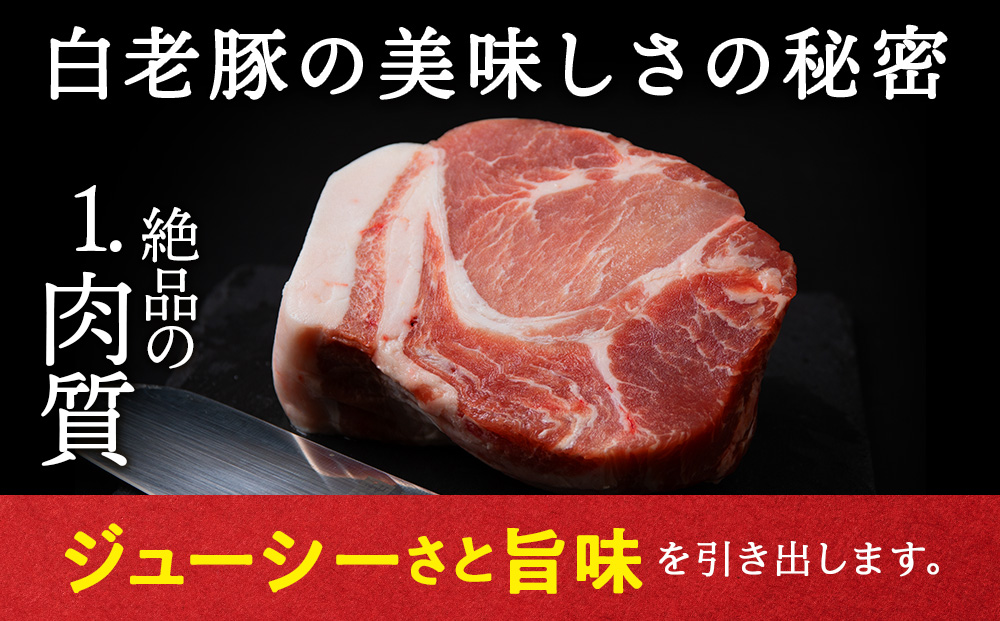 北海道産 白老豚 肩ロース ブロック 500g×2パック BV009_イメージ2